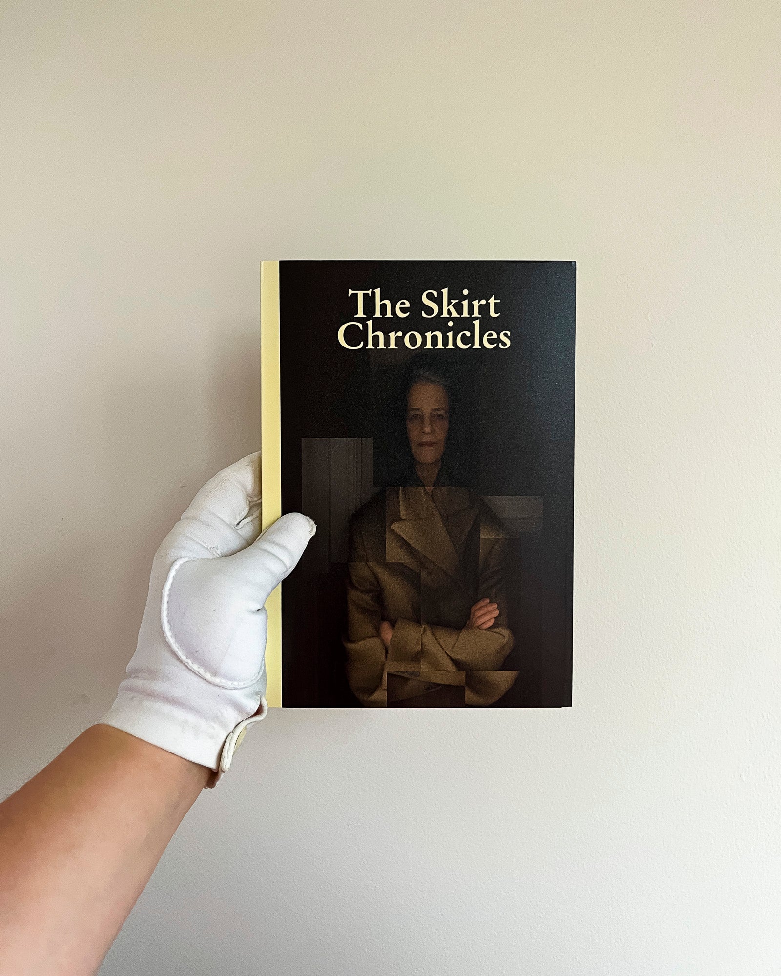 Skirt Chronicles VIII – Novella Gallery